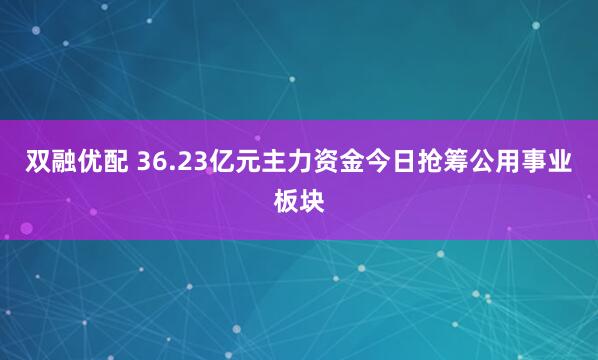 双融优配 36.23亿元主力资金今日抢筹公用事业板块